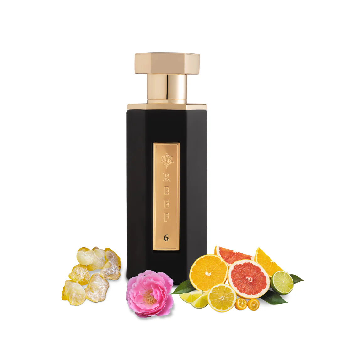 REEF 6 EDP 100ml Classic Perfume - REEF Perfumes UK