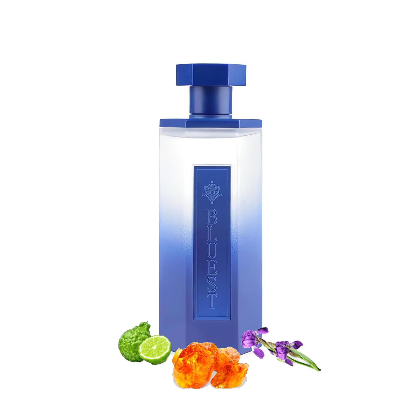 REEF Bluest EDP 200ml Perfume - REEF Perfumes UK